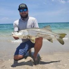 John Shanley profile photo