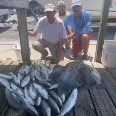 Hal Lusk profile photo