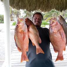 Palapa Tours profile photo