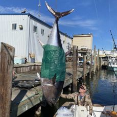 Reed Meredith profile photo