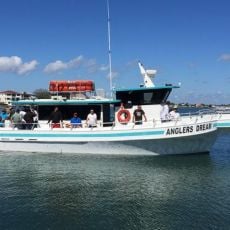 Joe Genovese profile photo