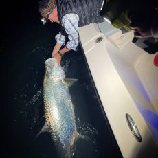 Fraser Simpson profile photo