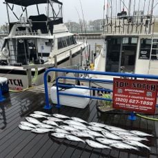 Darren Meier profile photo