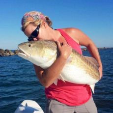 Lindsay Livingston profile photo