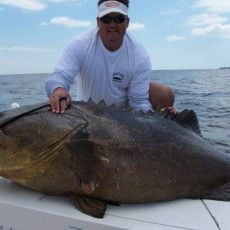 Dreamaker Fishing Charters
