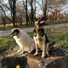 JDR Fishing Adventures