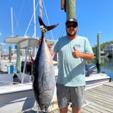 Michael Adams profile photo