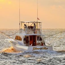 57' Geno 5 Sport Fishing Charters profile photo
