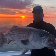 Travis Long profile photo