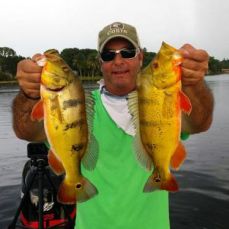 JP Mckay profile photo