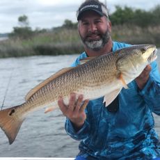 Robb Hall profile photo