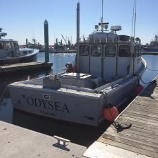 Ralph Wilkins profile photo