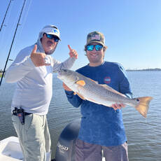 Brian Finnegan profile photo