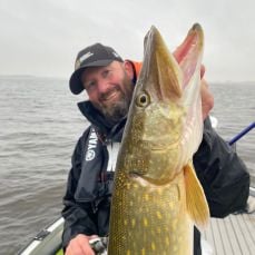 Juul Steyn profile photo