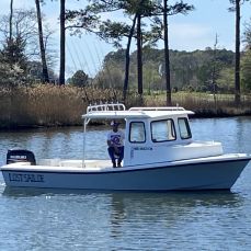 Skip Maisel profile photo