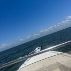 Justin Ladner profile photo