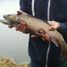 Eidolon Sport Fishing