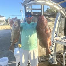 Chris Brace profile photo