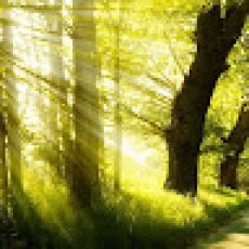 Kurtis Jermain profile photo