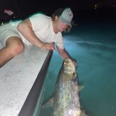 Colt Brown profile photo