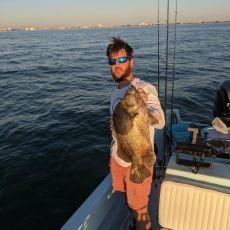 Joe Masi profile photo