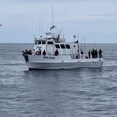 Michael Potvin profile photo