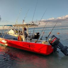 Samuel González profile photo