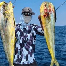 Theodore Panos profile photo