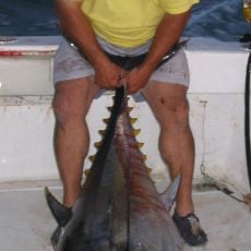 Jerry Beaver profile photo