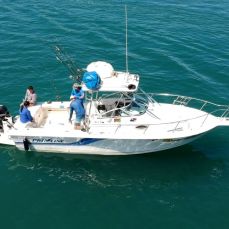 Sea Expedition Panama profile photo