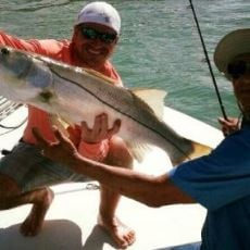 Joey Shogren profile photo