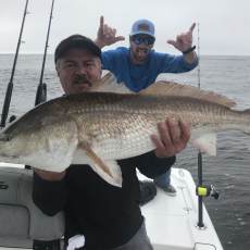 Joe Ziegler profile photo