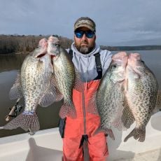 Travis Bradshaw profile photo