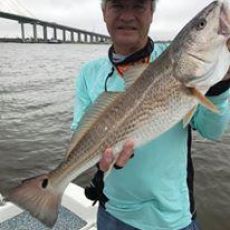 Michael Cacciotti profile photo