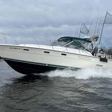 Hunter Phelps profile photo