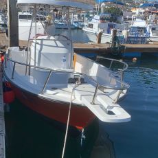 Yhara Berenice profile photo