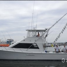 Michael D Sport Fishing Charters, Llc