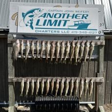 Another Limit Charters LLC profile photo