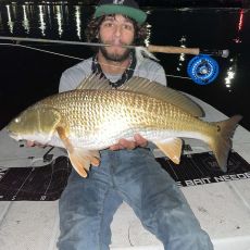 Andrew Scarpa profile photo