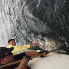 Bruce Keus profile photo