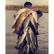 Chase Rains profile photo