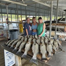 Dylan Jones profile photo