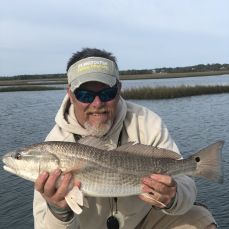 Mike Hoffman profile photo