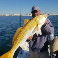 Brent Spears profile photo