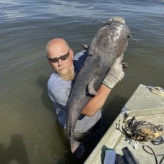 Jason Miles profile photo