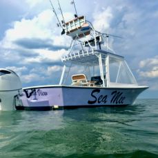 Shawn Shapiro profile photo