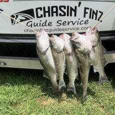 Nathan Aaron profile photo