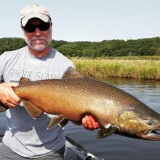 Steve Campbell profile photo