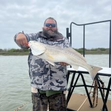 Brent Stotler profile photo