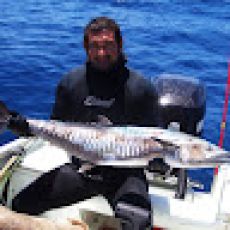 Kristin Barr profile photo